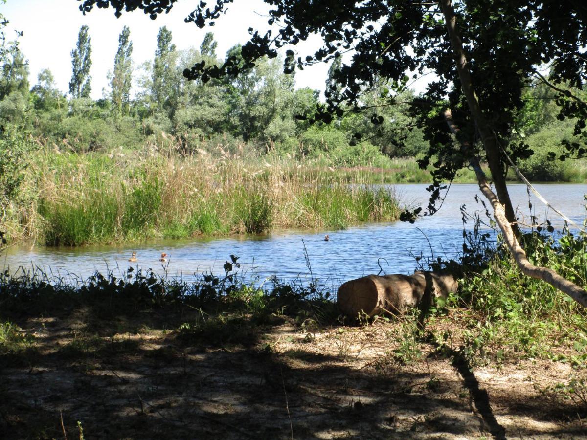 Espace Nature Studio Independant Proche Du Parc Des Oiseaux Sainte-Olive Eksteriør billede