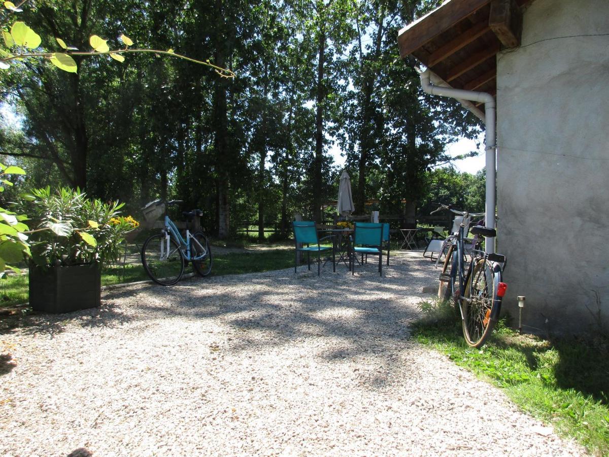 Espace Nature Studio Independant Proche Du Parc Des Oiseaux Sainte-Olive Eksteriør billede
