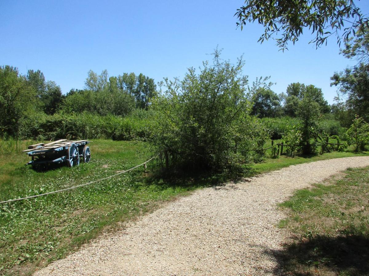 Espace Nature Studio Independant Proche Du Parc Des Oiseaux Sainte-Olive Eksteriør billede