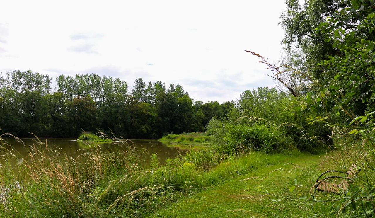 Espace Nature Studio Independant Proche Du Parc Des Oiseaux Sainte-Olive Eksteriør billede