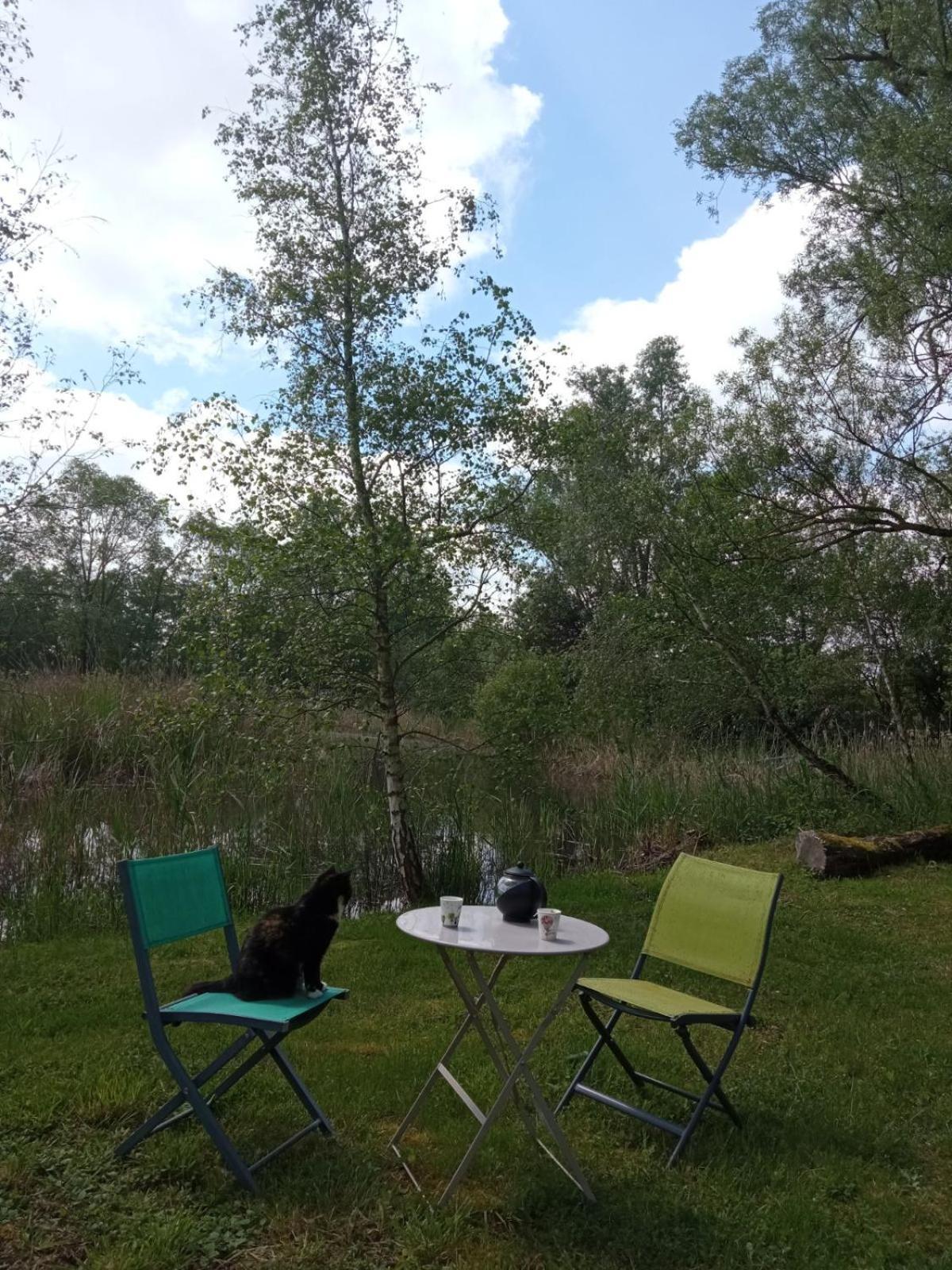 Espace Nature Studio Independant Proche Du Parc Des Oiseaux Sainte-Olive Eksteriør billede