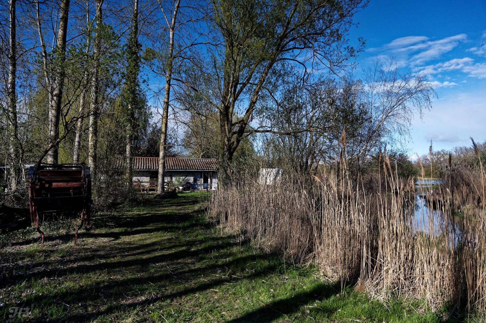 Espace Nature Studio Independant Proche Du Parc Des Oiseaux Sainte-Olive Eksteriør billede